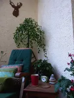 P1030569.webp
