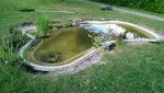 IMAG0439.jpg