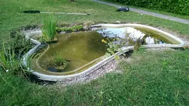 IMAG0439.webp