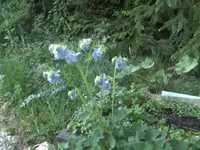 BILD9401.webp