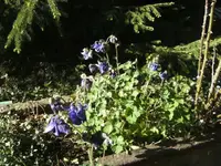 BILD9392.webp