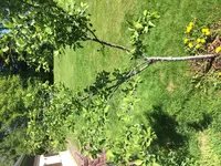 286023A8-5F3C-4DB0-B426-DF882861E9E9.webp