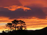 IMG_8007bt (1).webp
