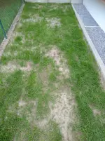 30 Tage (4).webp