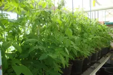 DSC09761 (2).webp