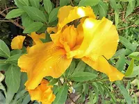 DSCI2889.webp