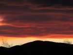 IMG_8017v.jpg
