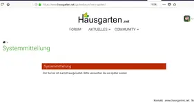 server ausgelastet.jpg