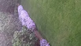 15258896241541604652372.jpg