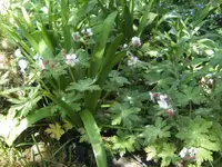 BILD9436.webp