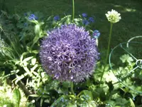 BILD9437.webp