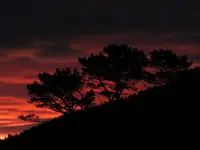 IMG_8016 v.webp