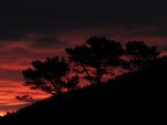 IMG_8016 v.jpg