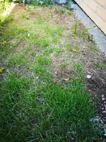 IMG_20180510_110545.webp IMG_20180510_110545.webp