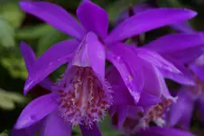 _DSC1506.webp