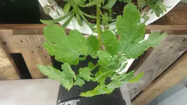 20180510_130519.webp