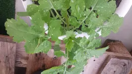 20180510_130500.webp