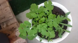 20180510_130446.webp