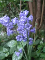 002_576x768.webp