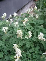 011_576x768.webp