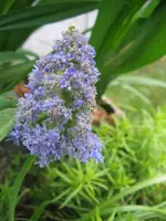 015_576x768.JPG