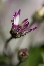 0M3A3803.webp