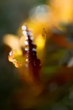 0M3A3789.webp