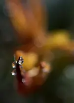 0M3A3787.webp
