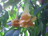 PICT0188.webp