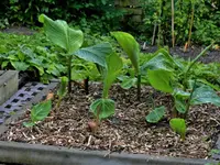 image003.webp