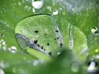 image004.webp