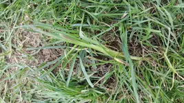 20180510_184937.jpg