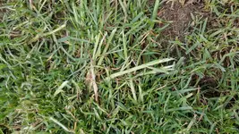 20180510_185025.webp