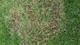 20180510_185134.jpg