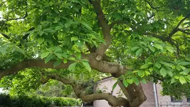 20180510_133907.webp