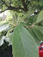 IMG-20180510-WA0015.webp