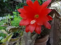 DSC02848.webp