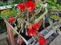 DSC02847.webp