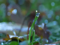 IMG_7877 v.webp
