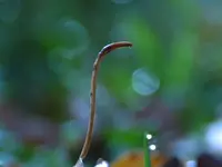 IMG_7876bt v(1).webp