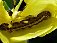 image001.webp