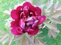 20180504_200215.webp