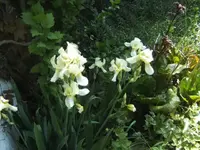 BILD9446.webp