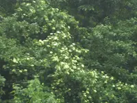 BILD9455.webp