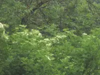 BILD9457.webp