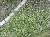 WhatsApp Image 2018-05-11 at 18.35.06.webp