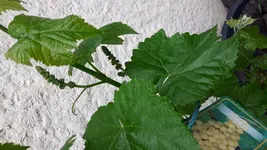 20180510_174257.webp