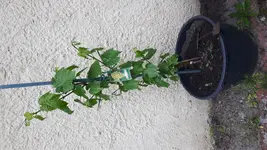 20180510_174303.webp