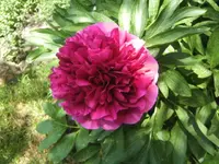 BILD9449.webp