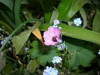 DSCI0761.webp
